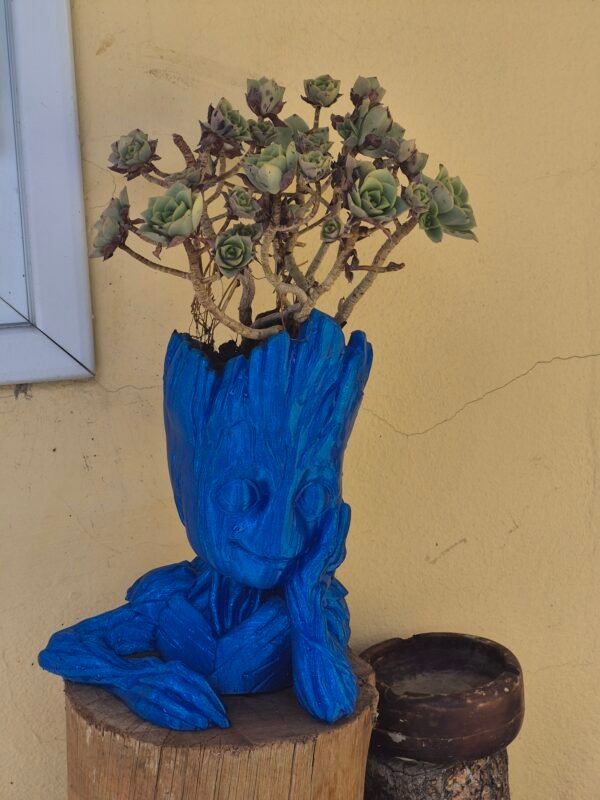 Maceta Groot